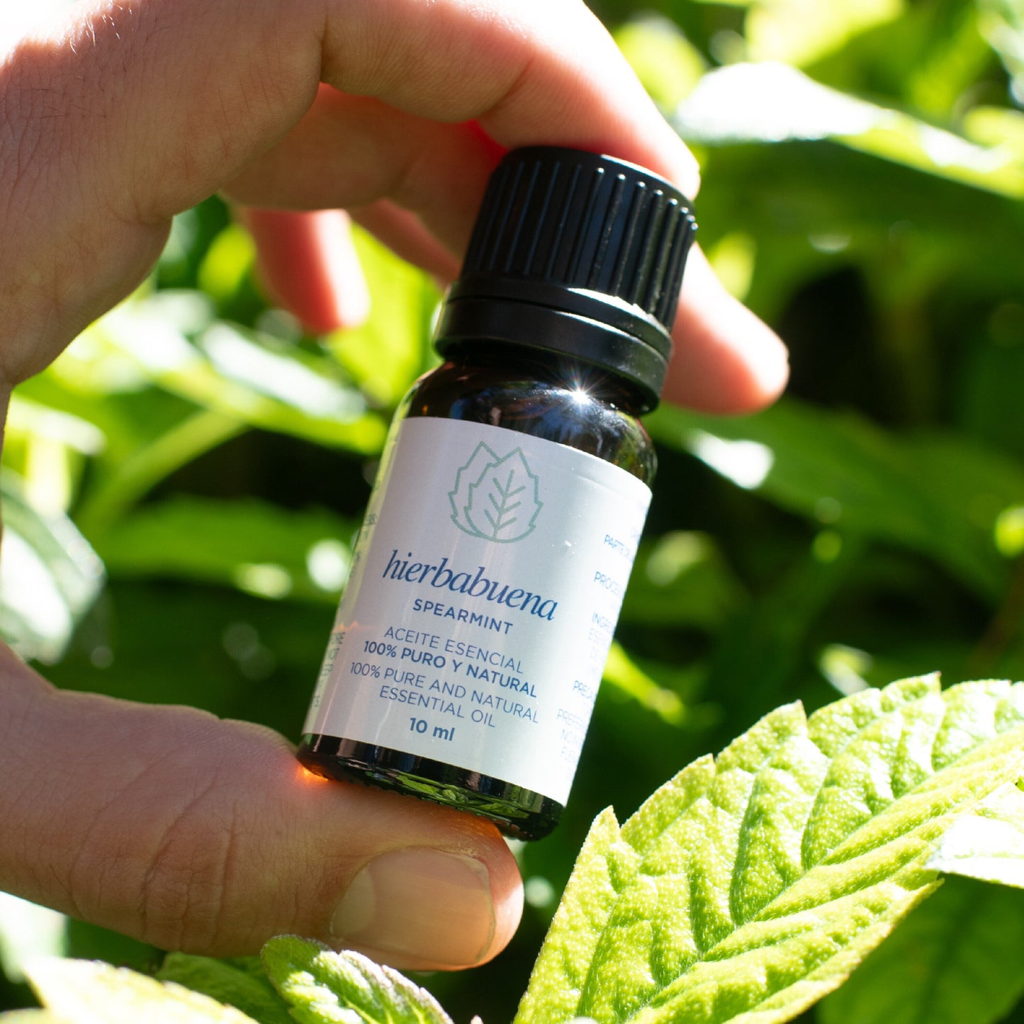 Aceite esencial Hierbabuena - 10ml