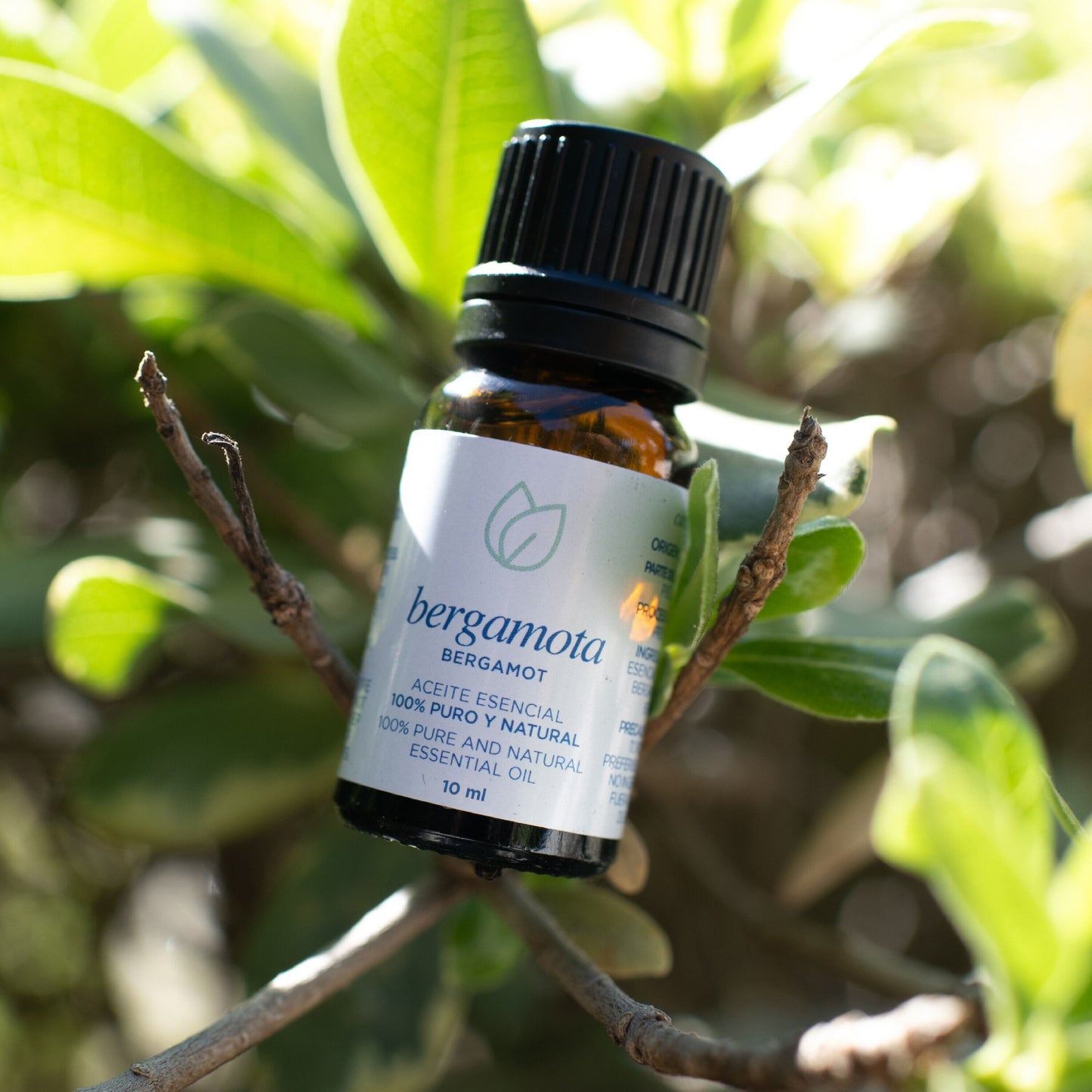 Aceite esencial Bergamota - 10ml