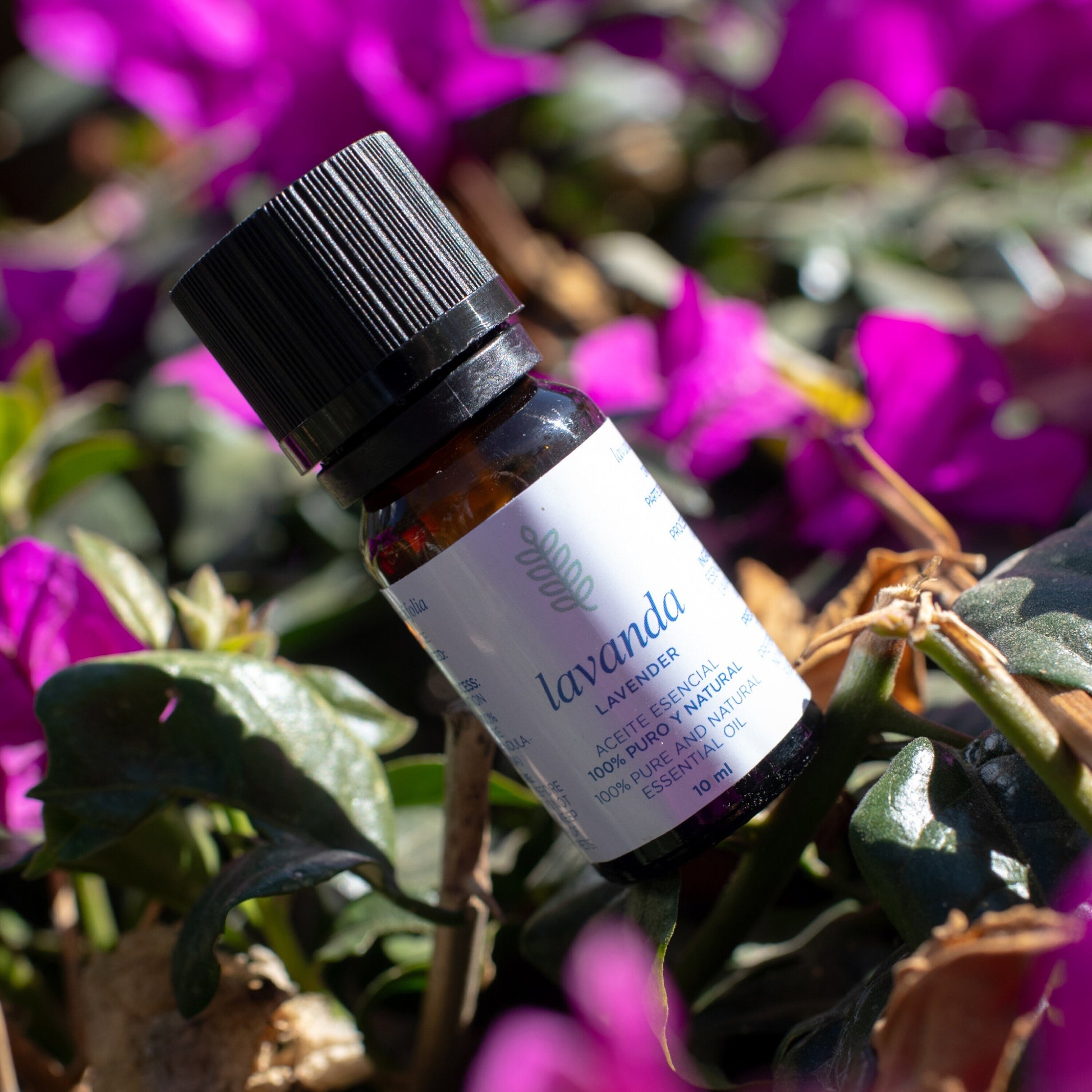 Aceite esencial Lavanda - 10ml