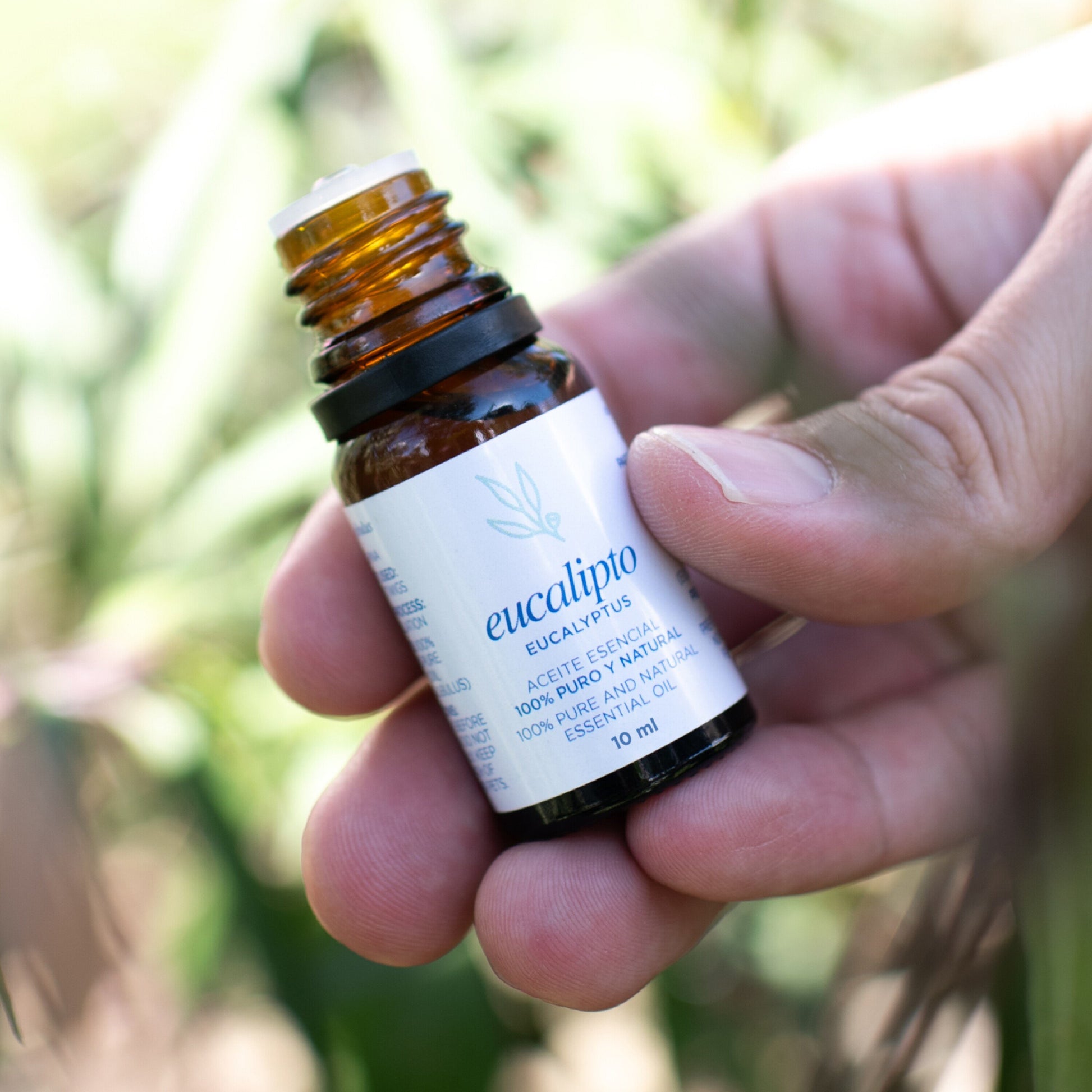 Aceite esencial Eucalipto - 10ml