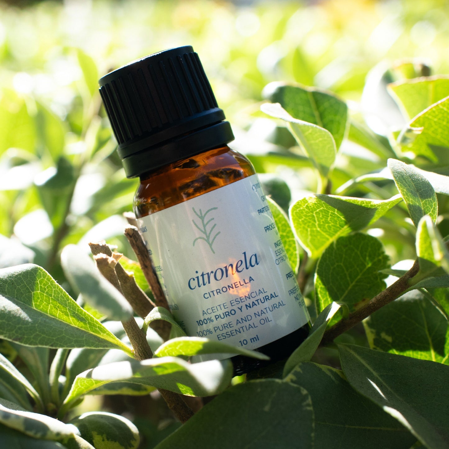 Aceite esencial Citronela - 10ml